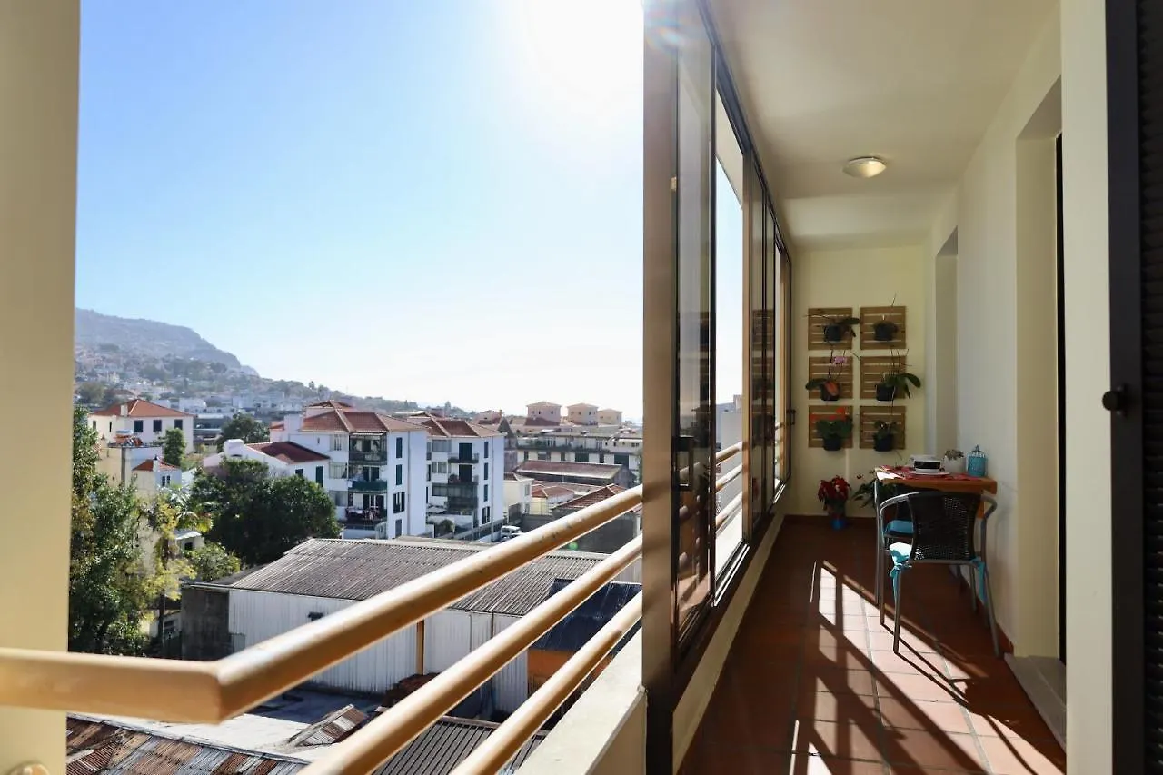 Our Dream Downtown Experience By Analodges Funchal  Portugal